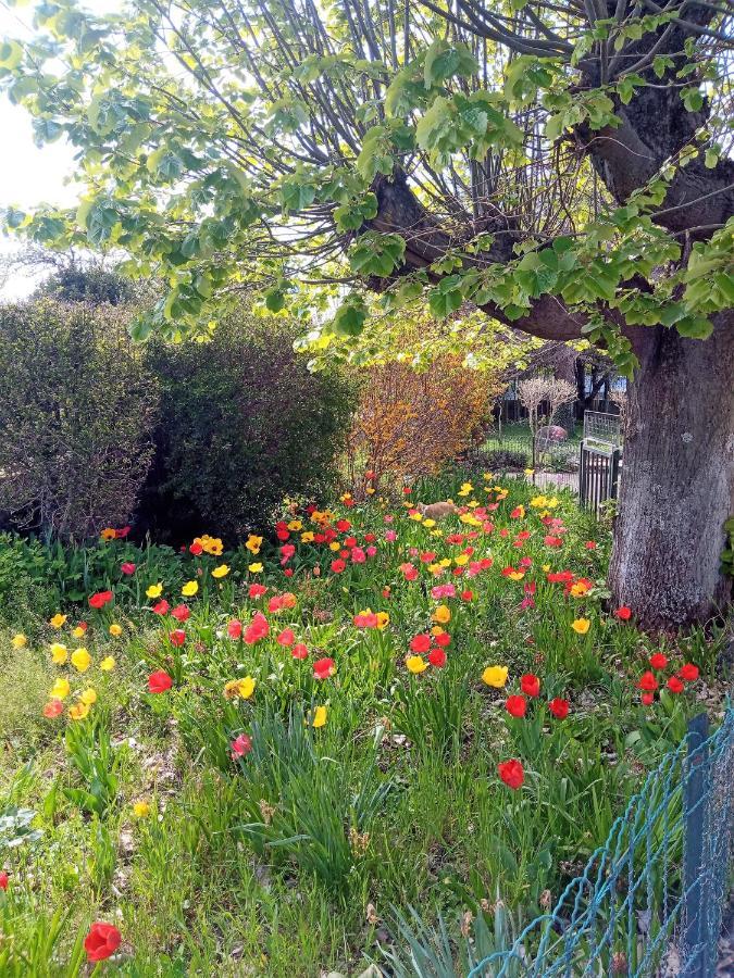 Rosalie Cottage Beaurepaire (Isere) Exterior foto