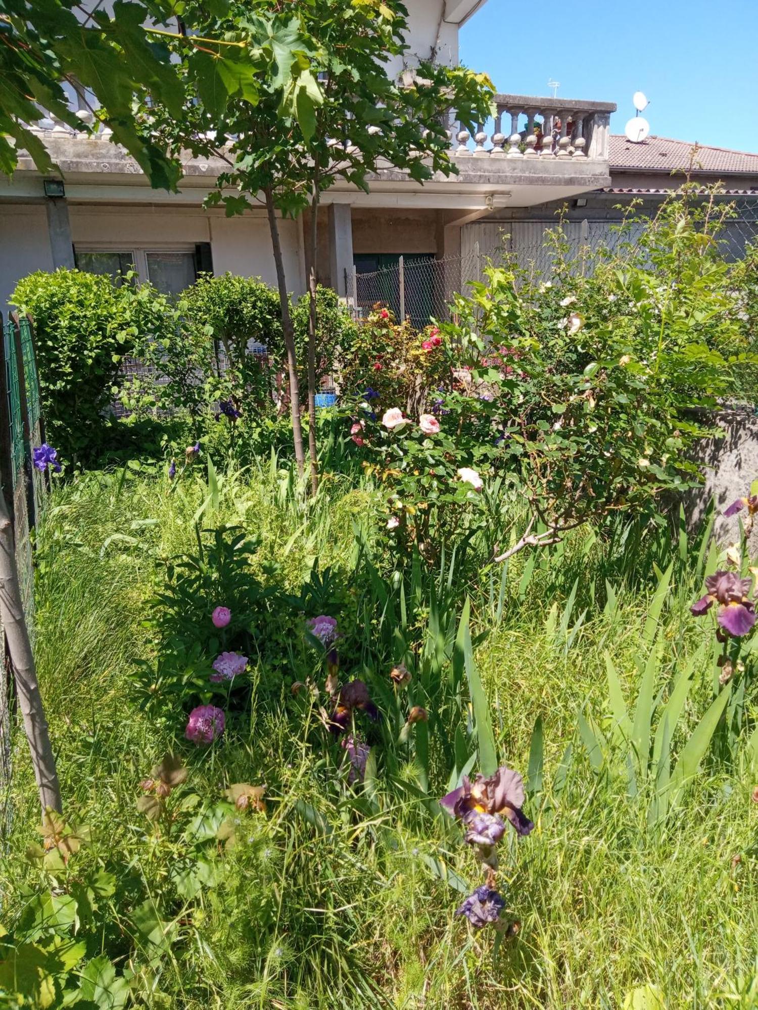 Rosalie Cottage Beaurepaire (Isere) Exterior foto