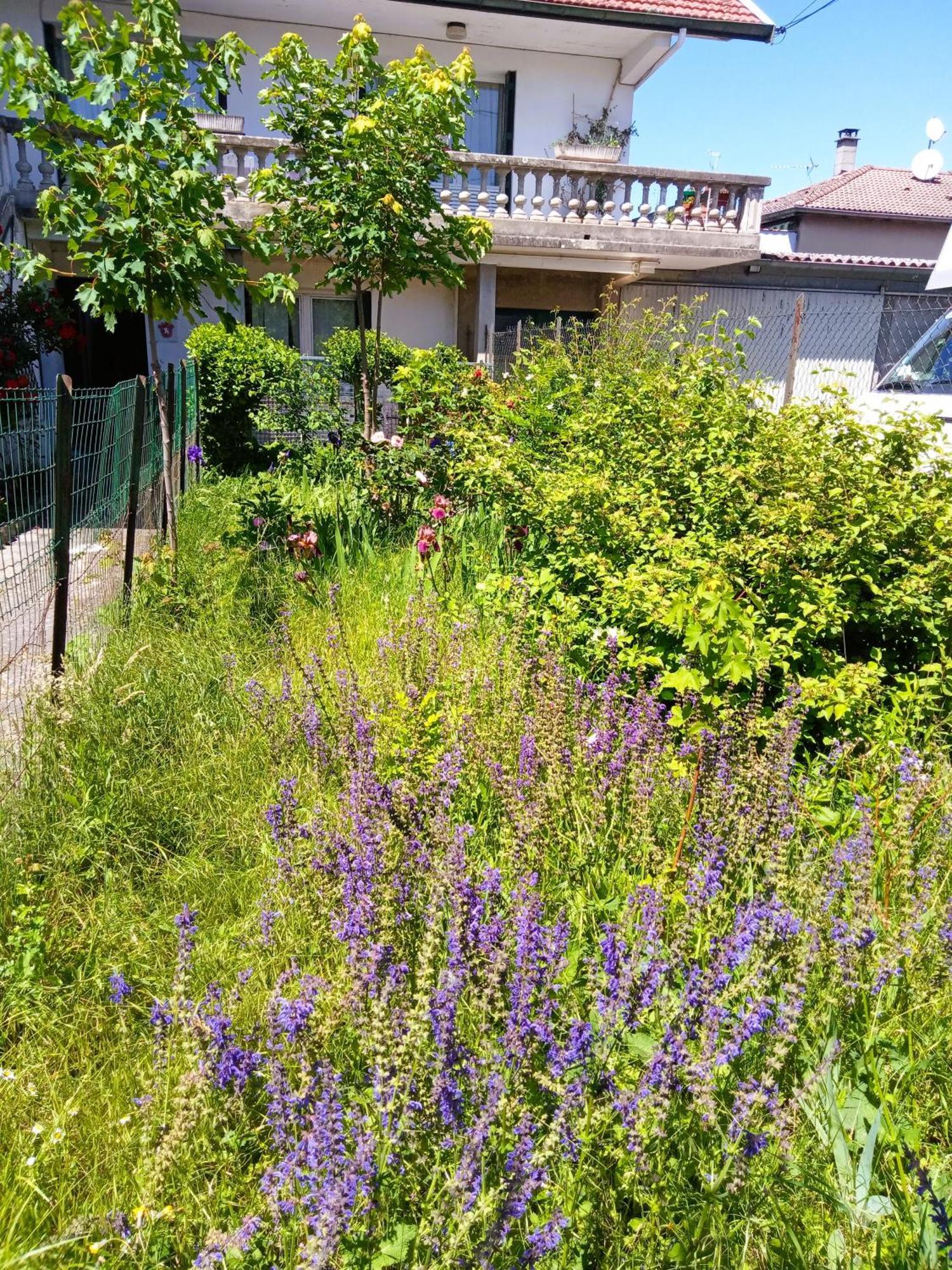 Rosalie Cottage Beaurepaire (Isere) Exterior foto