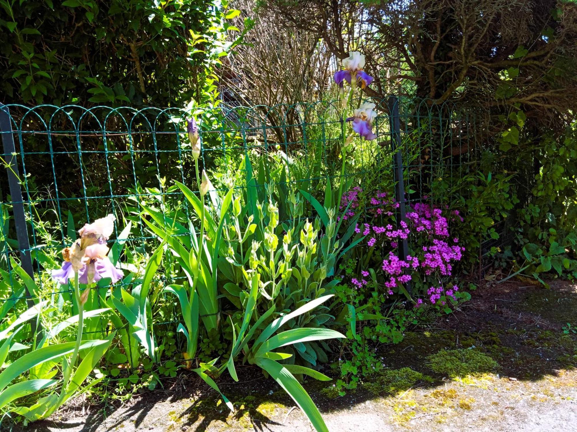 Rosalie Cottage Beaurepaire (Isere) Exterior foto